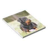 ロットワイラー犬 ノートパッド (アングル)