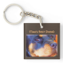 ロットワイラー編集可能ポートレート美しい獣犬