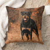 ロットワイラー装飾用クッション クッション (ブランケット)