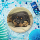 ロットワイラー20150901 ペーパープレート (パーティー)