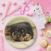 ロットワイラー20150901 ペーパープレート (パーティー)