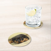 ロットワイラー20150901 ラウンドペーパーコースター (インサイチュ)