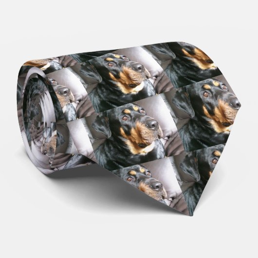 ロットワイラー ネクタイ (ロール)