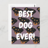 ロットワイラー ポストカード (正面/裏面)