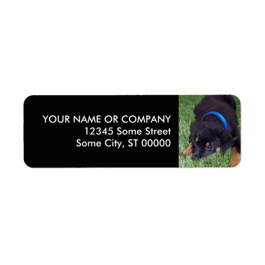 ロットワイラー。 ラベル (正面)