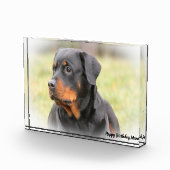 ロットワイラー 犬 フォトブロック (右)