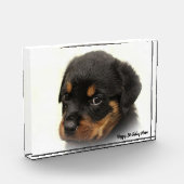 ロットワイラー 犬 フォトブロック (左)