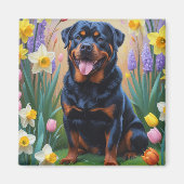 ロットワイラー 犬 春の花 絵画 マグネット (正面)