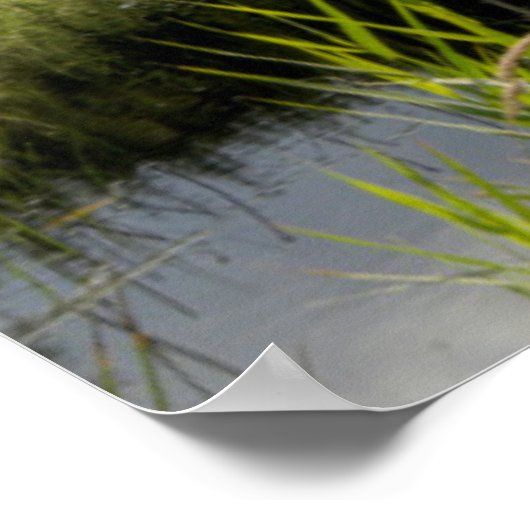 ロッハアルジェティ ポスター (角)