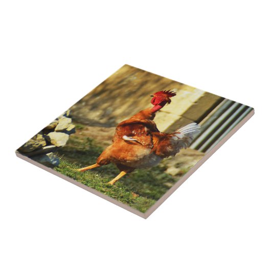 ロッフランスのク タイル (側面)