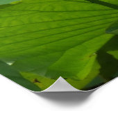 ロツース ポスター (角)