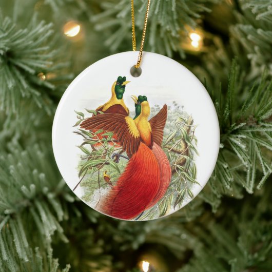 ロディゲシアミラビリス セラミックオーナメント (ツリー)