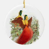 ロディゲシアミラビリス セラミックオーナメント (裏面)