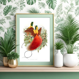 ロディゲシアミラビリス ポスター