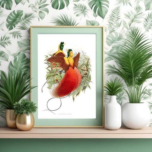 ロディゲシアミラビリス ポスター