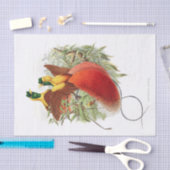 ロディジェシアミラビリスデコページ 薄葉紙 (クラフト)