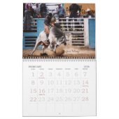 ロデオのイメージ2007年の写真による… カレンダー (2月 2026)