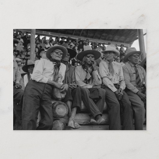 ロデオのオールドカウボーイズヴィンテージ写真 ポストカード (正面)