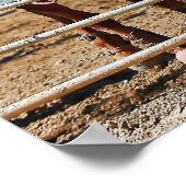 ロデオのポスターでカウボーイズ ポスター (角)