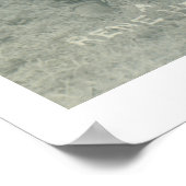 ロデオの女性のカーボーイ7人が写真を撮るポーズ。 ポスター (角)