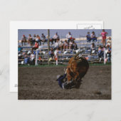 ロデオの騎手が牛から落ちる ポストカード (正面/裏面)