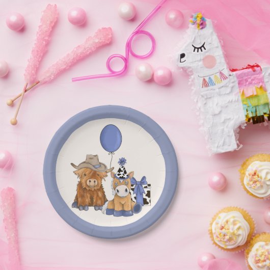 ロデオをテーマにした誕生日パーティープレート-男の赤ちゃん ペーパープレート (パーティー)