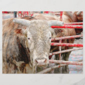 ロデオブルカントリー素朴ウェスタン (正面)