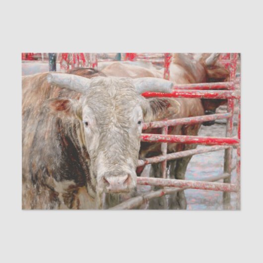 ロデオブルカントリー素朴ウェスタン 薄葉紙 (正面)