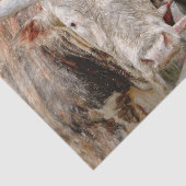 ロデオブルカントリー素朴ウェスタン 薄葉紙 (詳細)