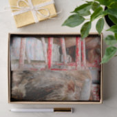 ロデオブルカントリー素朴ウェスタン 薄葉紙 (ギフト)