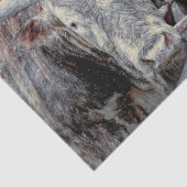 ロデオブル素朴ヴィンテージグレーレッドカントリーウェスタン 薄葉紙 (詳細)