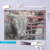 ロデオブル素朴ヴィンテージグレーレッドカントリーウェスタン 薄葉紙 (クラフト)