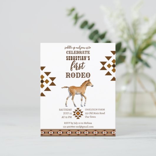 ロデオ南西部カウボーイホースの予算の招待 (スタンド正面)