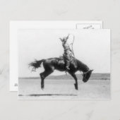 ロデオ女性のカーボーイオン馬ヴィンテージ写真 ポストカード (正面/裏面)
