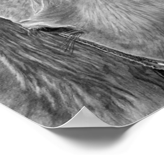 ロデオ画像 ポスター (角)