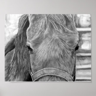 ロデオ画像 ポスター