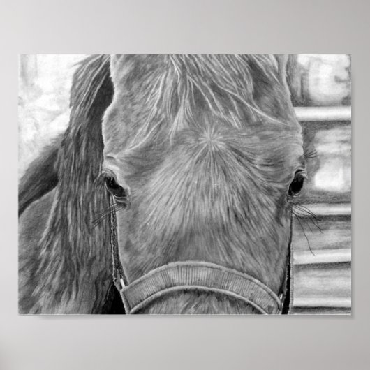 ロデオ画像 ポスター (正面)