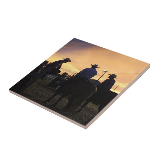 ロデオ・カウボーイズが乗るのを待つ タイル (側面)