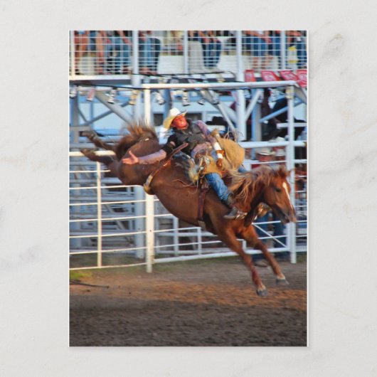 ロデオ！ ポストカード (正面)