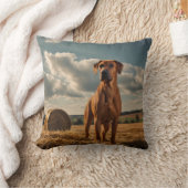 ロデシエレガントアンリッジバック装飾用クッション クッション (ブランケット)