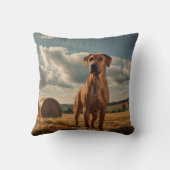 ロデシエレガントアンリッジバック装飾用クッション クッション (裏面)