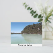 ロトルアの美しい湖のはがき ポストカード (スタンド正面)
