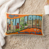 ロトロシャーロットNC絵葉書 ランバークッション (ブランケット)