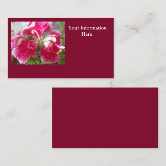 ロドビカ 名刺 (正面/裏面)