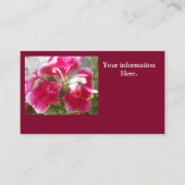 ロドビカ 名刺 (正面)