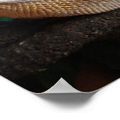 ロニー2 ポスター (角)