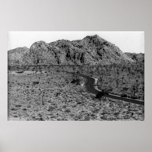 ロネソーム高速道路 ポスター (正面)