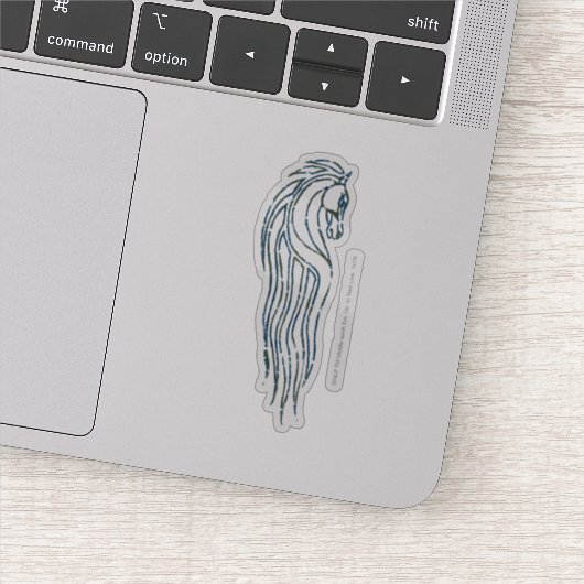 ロハンキングスホールバナー シール (詳細)