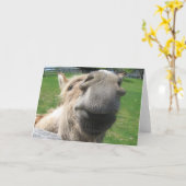 ロバおもしろいーのクローズアップ カード (黄色い花)