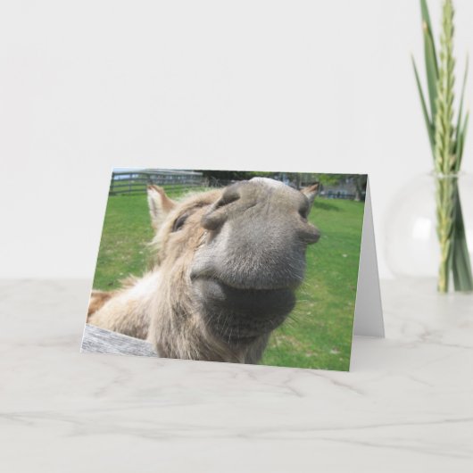 ロバおもしろいーのクローズアップ カード (正面)